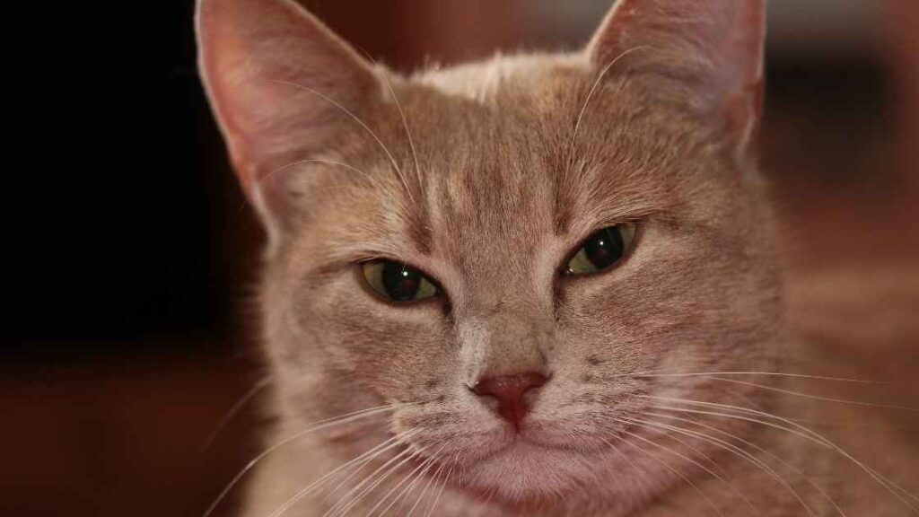 そもそも飲み会行かない人は賢いのか?