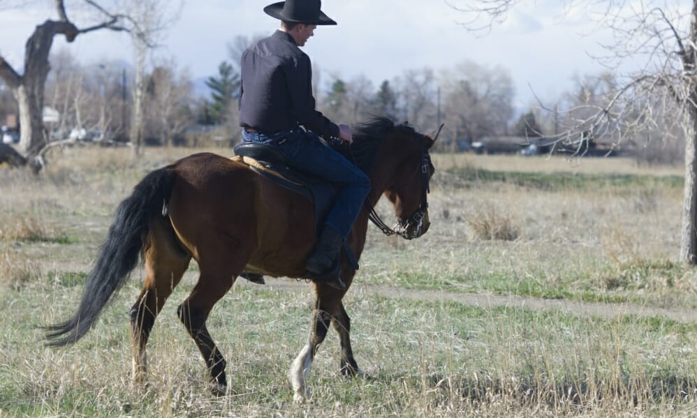 特化するの意味とは?言い換えや正しい使い方とは?