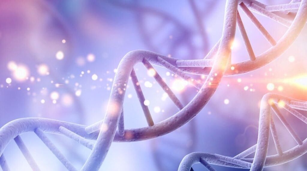 「雛形」の言葉の成り立ちとは！？