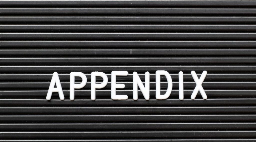 appendix（アペンディクス）とは？論文やプレゼンでの役立ち方