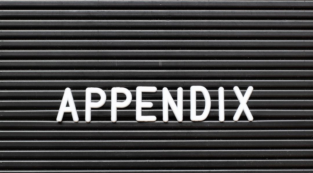 appendix（アペンディクス）とは？論文やプレゼンでの役立ち方