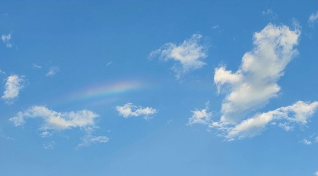 正しい日本語はどれだ？「うる覚え」 VS「うろ覚え」