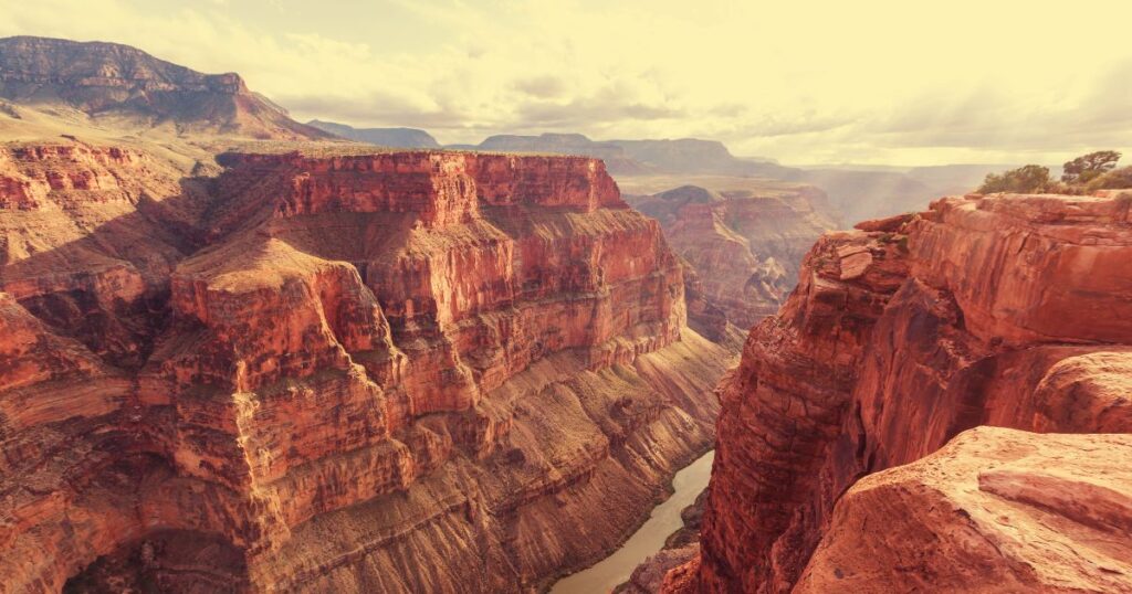 グランドデザイン