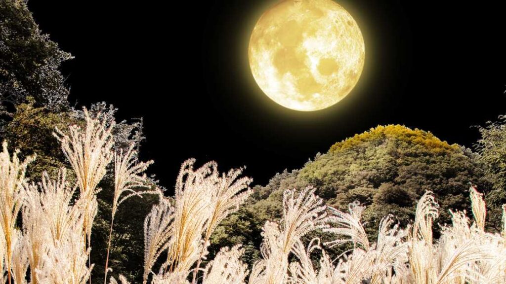 中秋の名月とは?