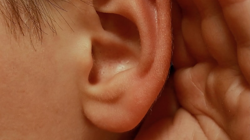 「聞く」と「聴く」の違いをやさしく解説|意味・使い分け・例文がすぐわかるタイトル